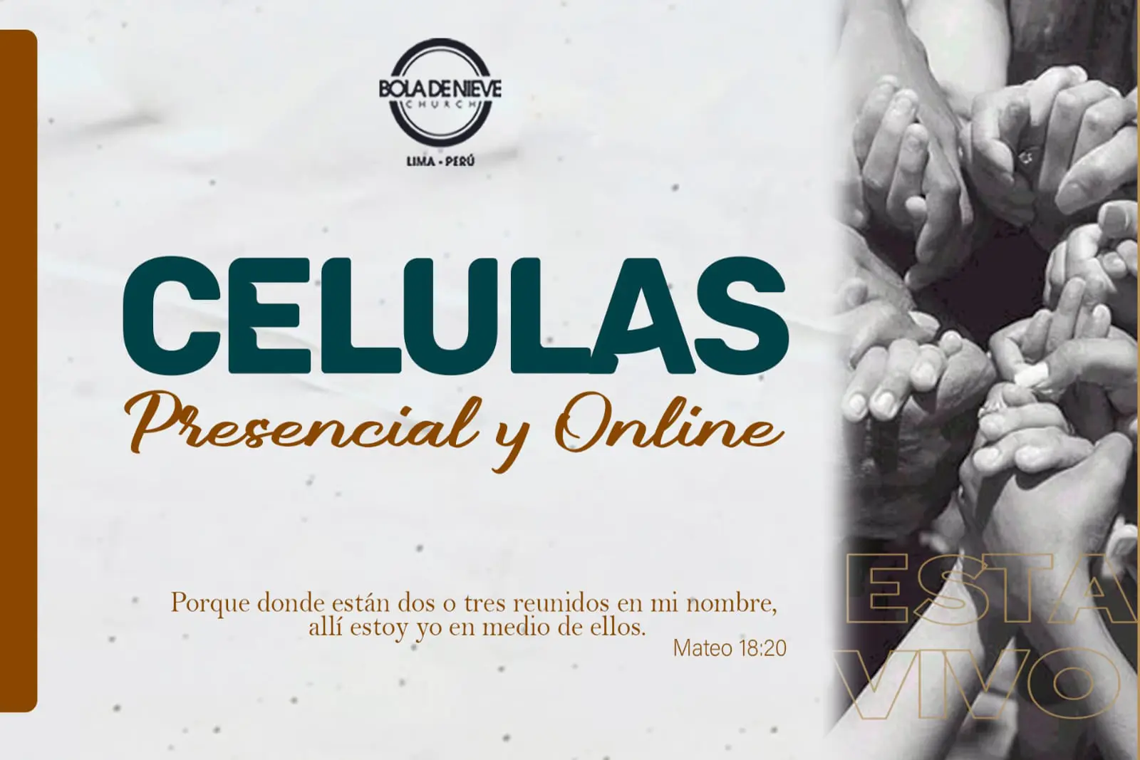 Células